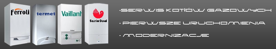 Serwis piecyków gazowych Kraków